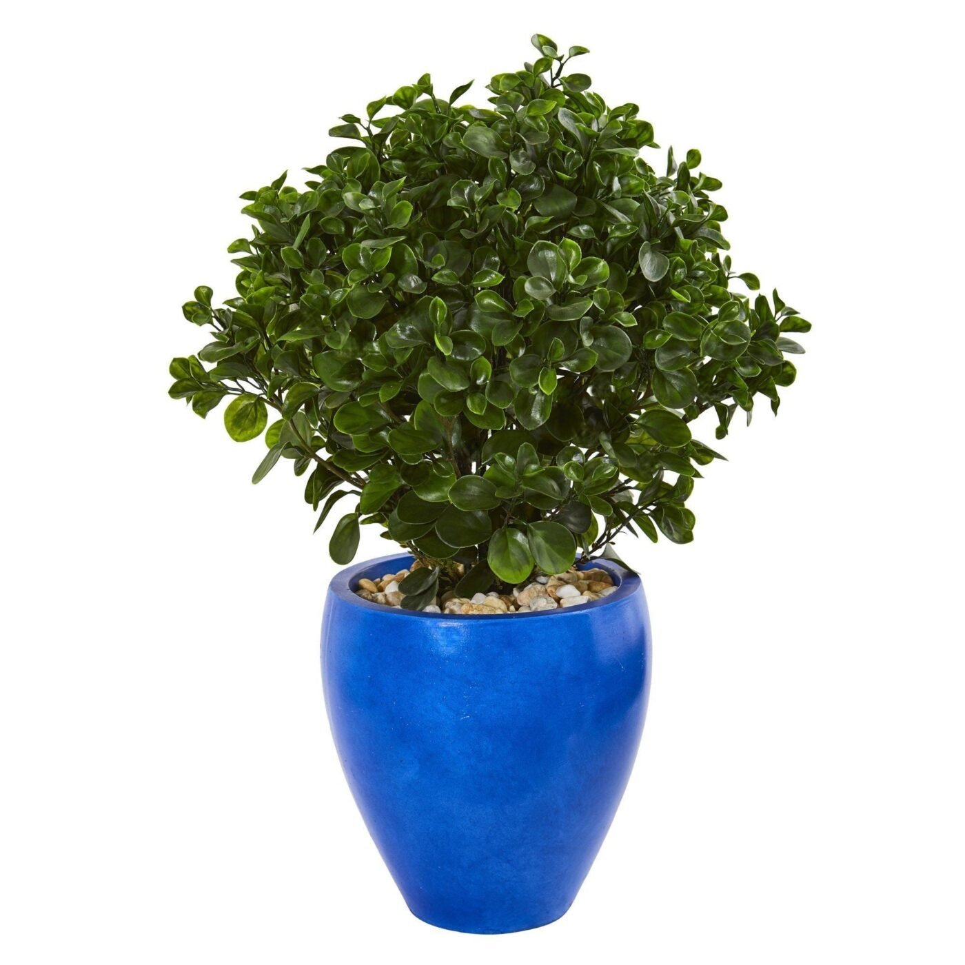 32" Peperomia Artificial Plant in Blue Planter(Indoor/Outdoor)