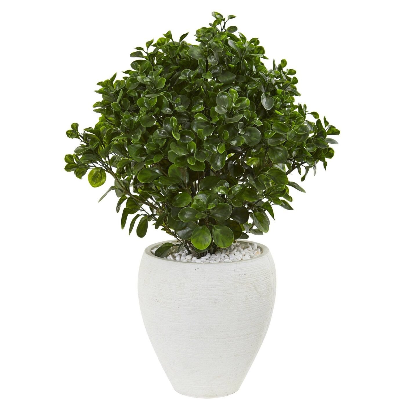 32" Peperomia Artificial Plant in White Planter (Indoor/Outdoor)
