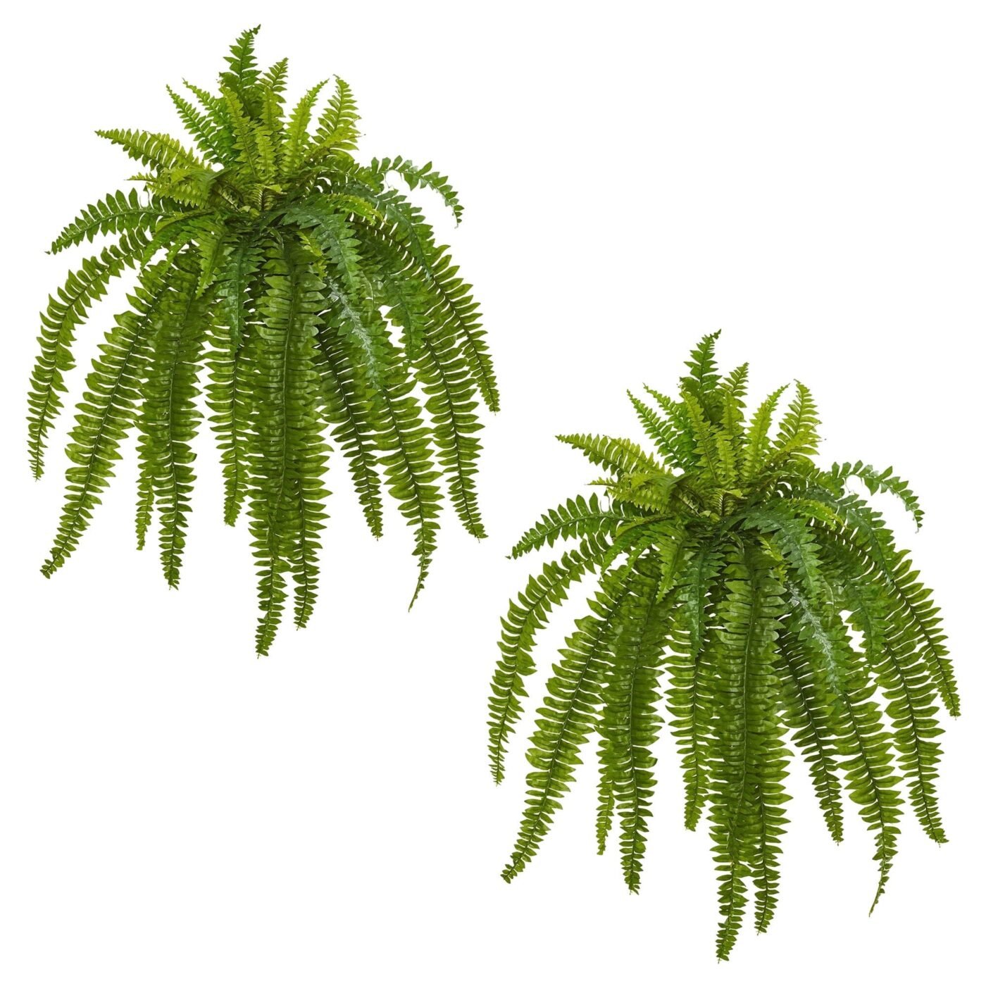 35" Boston Fern Artificial Plant (Set of 2)