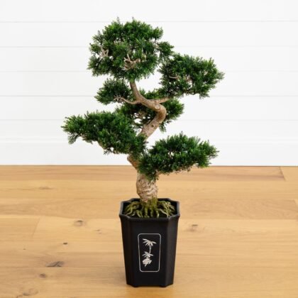 Bonsai