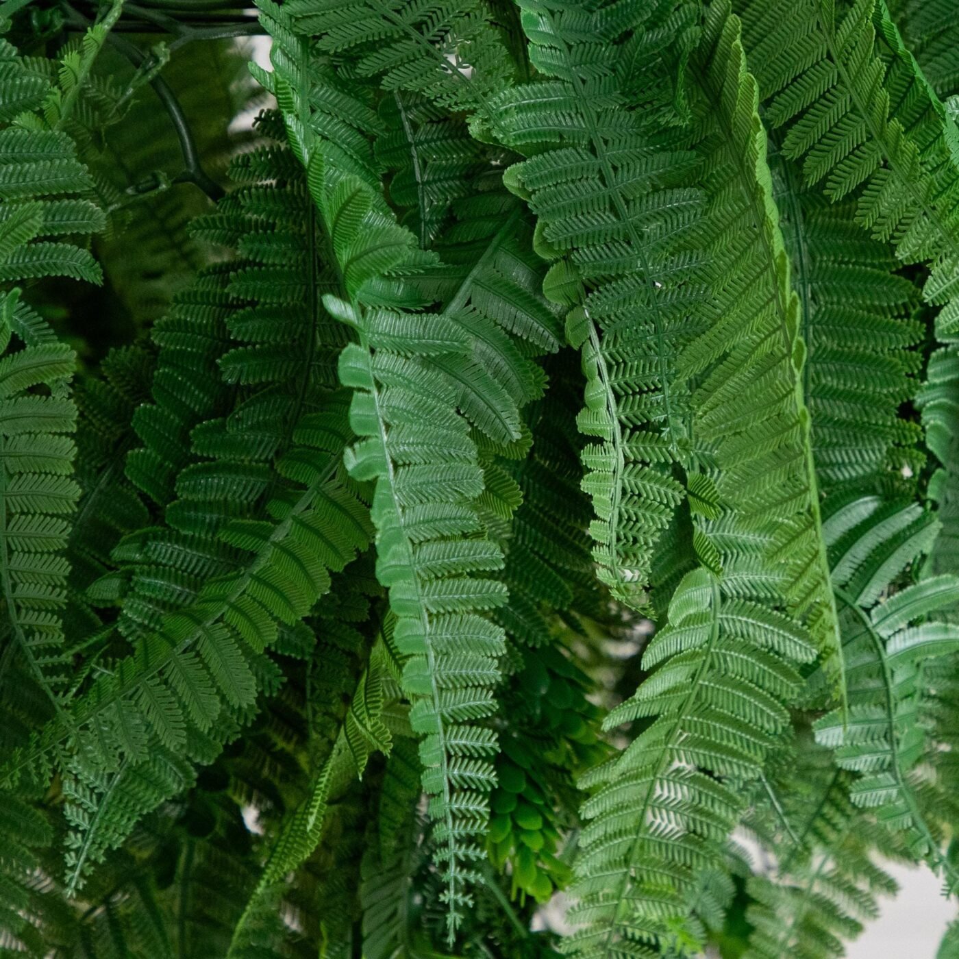 39" UV Resistant Artificial Mixed Ferns Plant in Hanging Ring (Indoor/Outdoor)