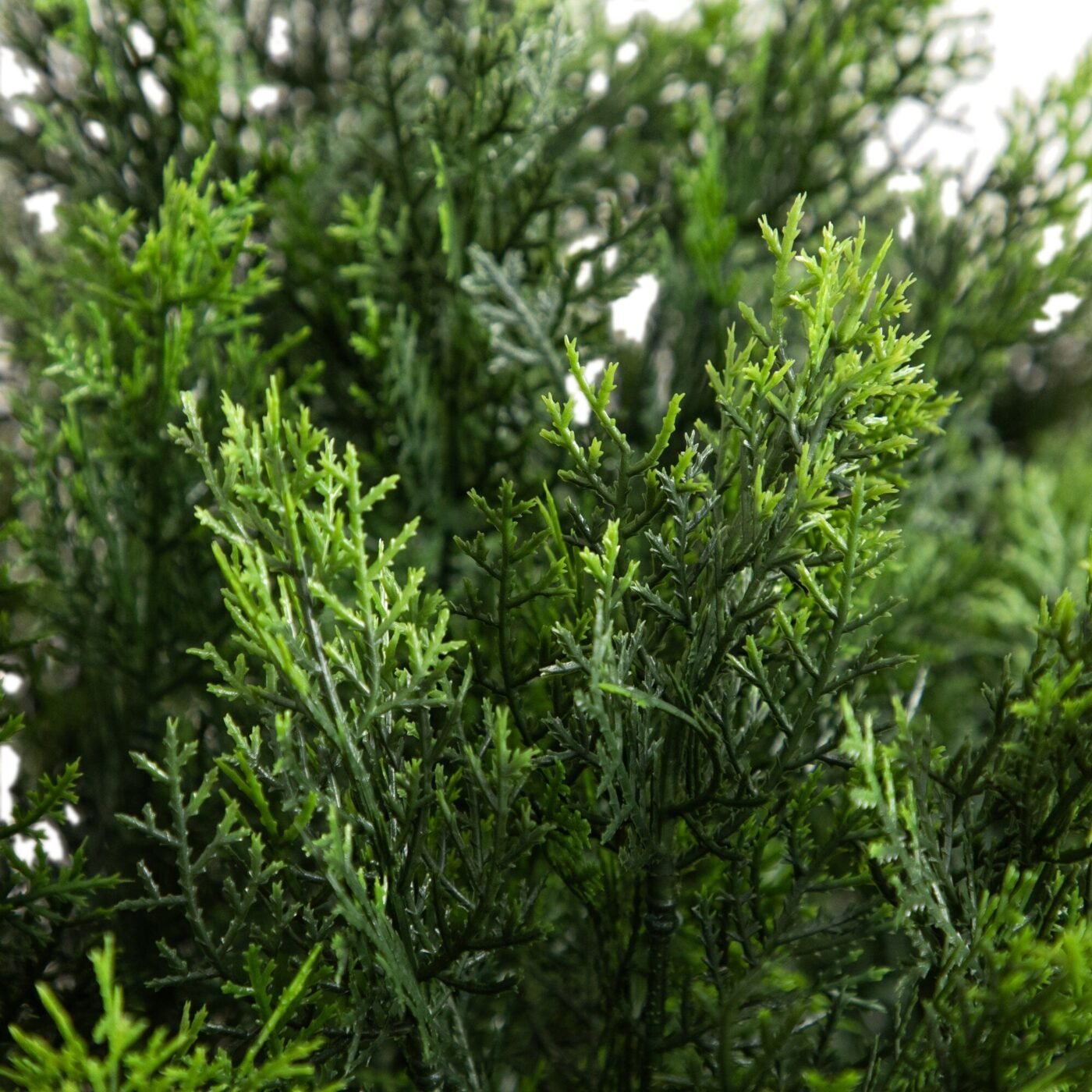 4' Artificial Cedar Bush UV Resistant (Indoor/Outdoor)