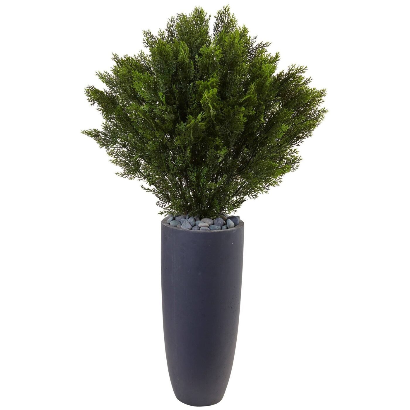 4' Cedar in Cylinder Planter (Indoor/Outdoor)