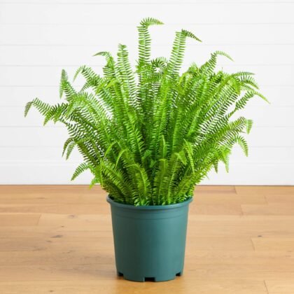 4' UV Resistant Artificial Real Touch Boston Fern Plant (Indoor/Outdoor)