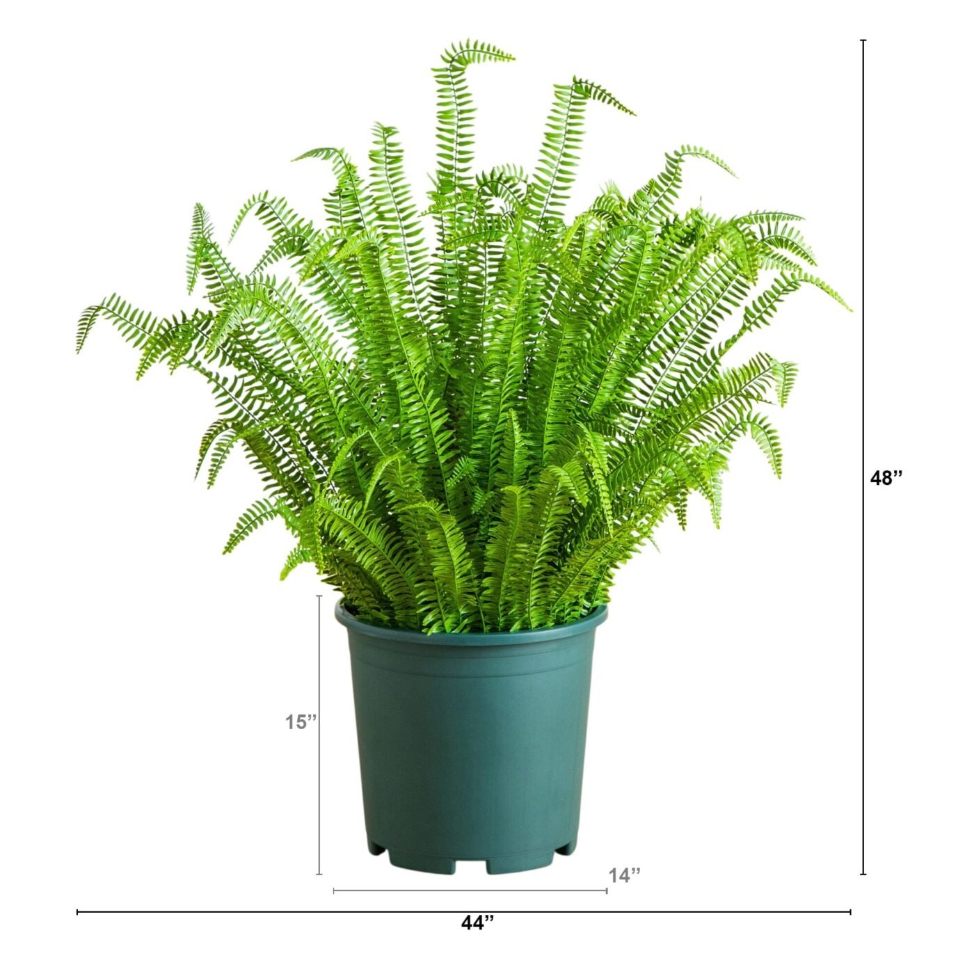 4' UV Resistant Artificial Real Touch Boston Fern Plant (Indoor/Outdoor)