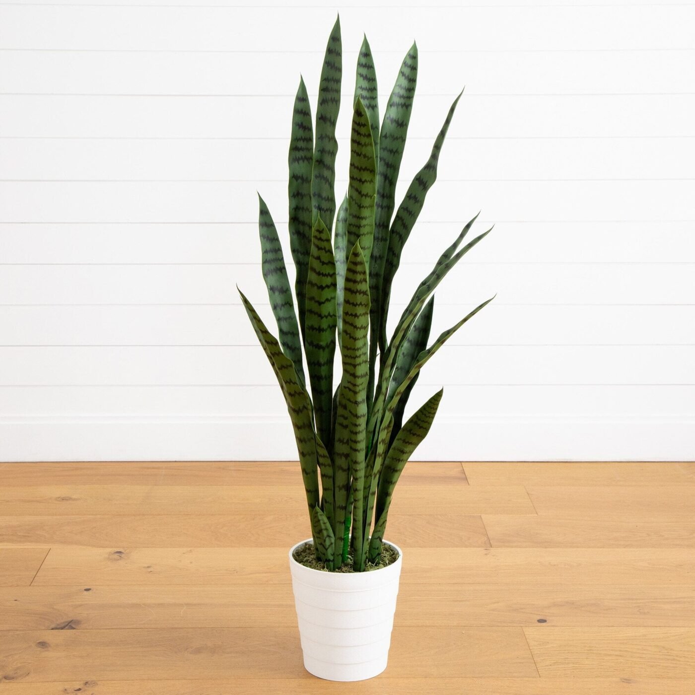 4' UV Resistant Artificial Sansevieria Plant in White Decorative Planter (Indoor/Outdoor)