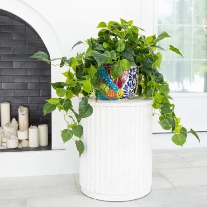 42" UV Resistant Artificial Philodendron in Handmade Mexican Talavera Ceramic Planter (Indoor/Outdoor)
