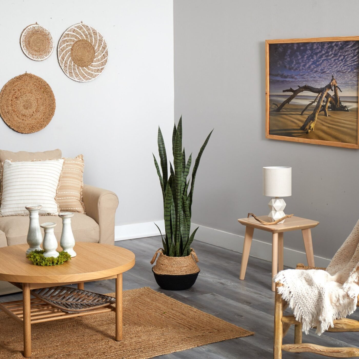 46" Sansevieria Plant in Cotton & Jute Black Woven Planter