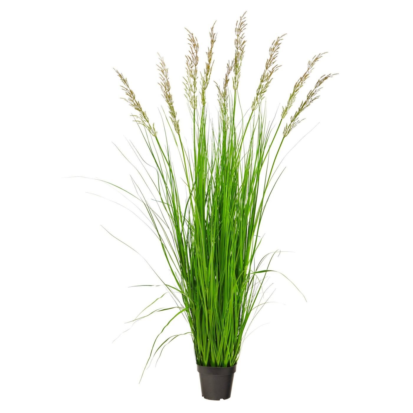 5.5' Artificial Plum Grass Plant