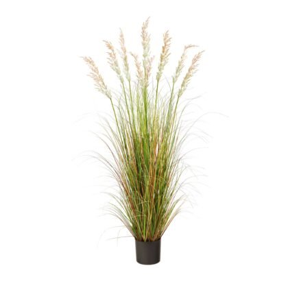 5.5' Plum Grass Artificial Plant with Multicolored Grass