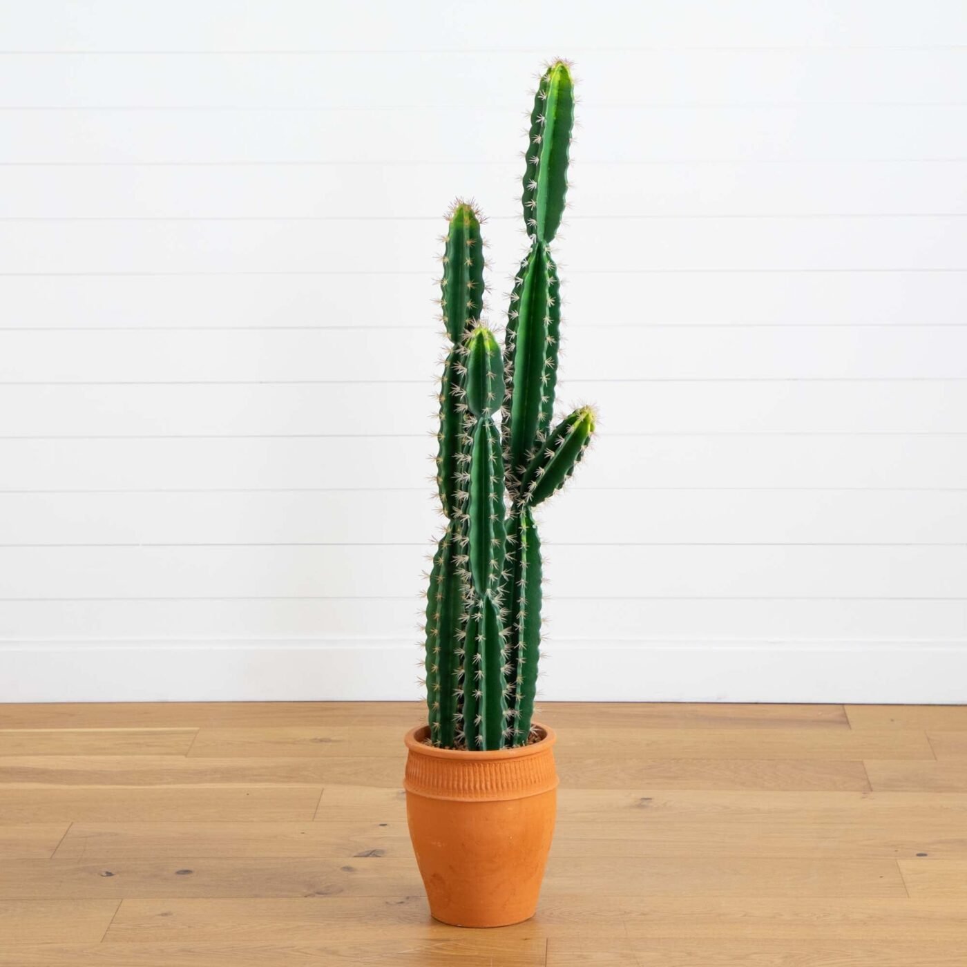 5' Artificial Cactus in Terracotta Planter