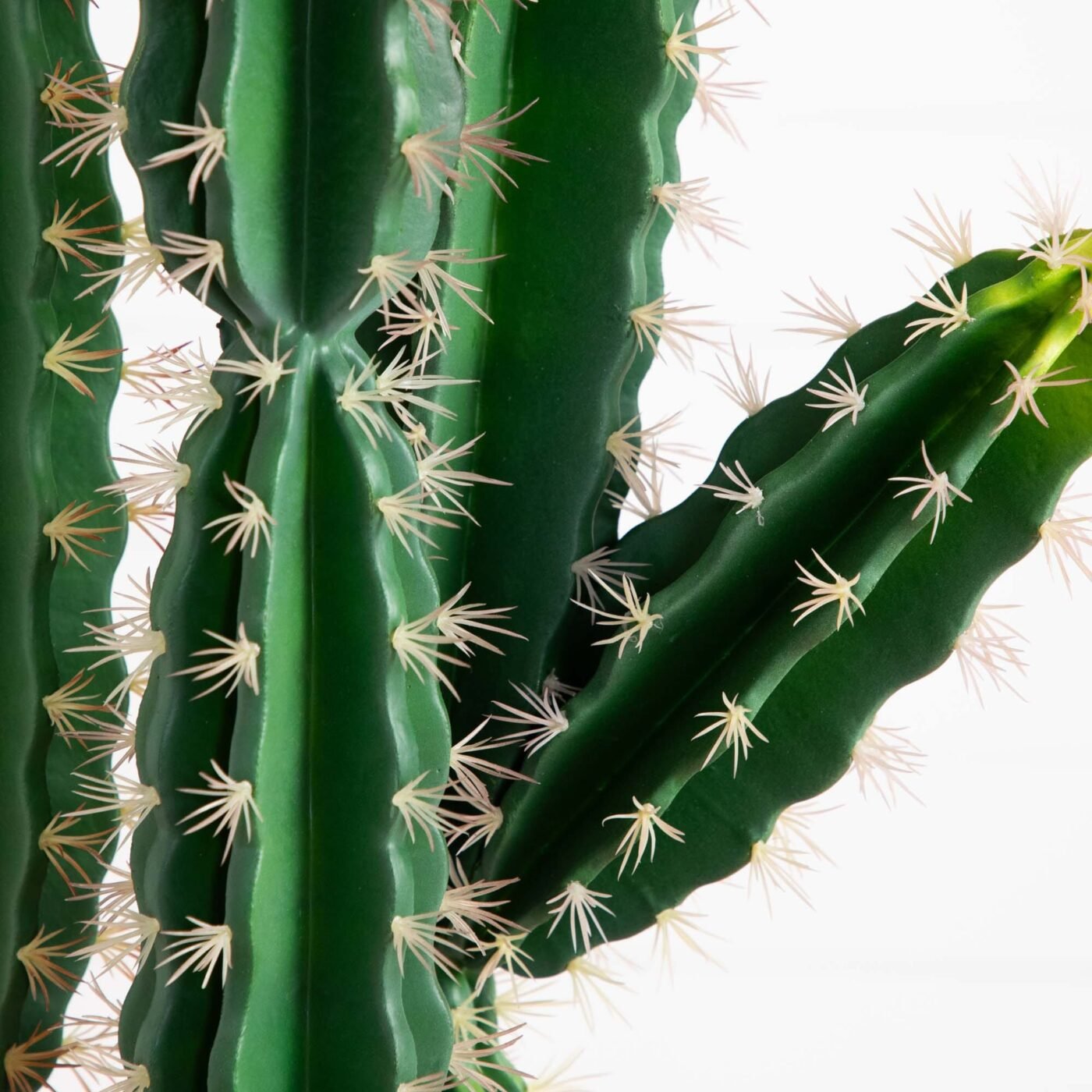 5' Artificial Cactus in Terracotta Planter