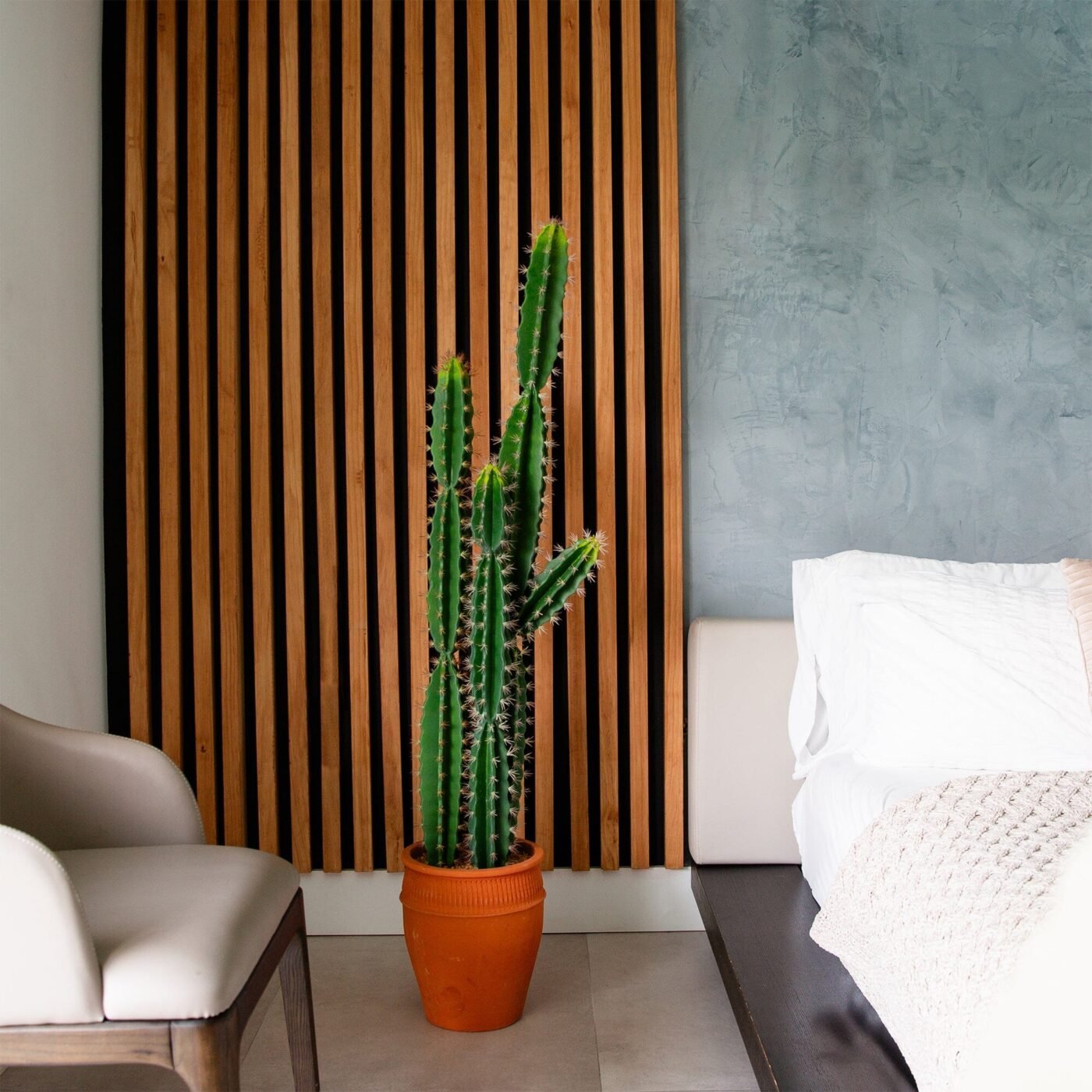 5' Artificial Cactus in Terracotta Planter