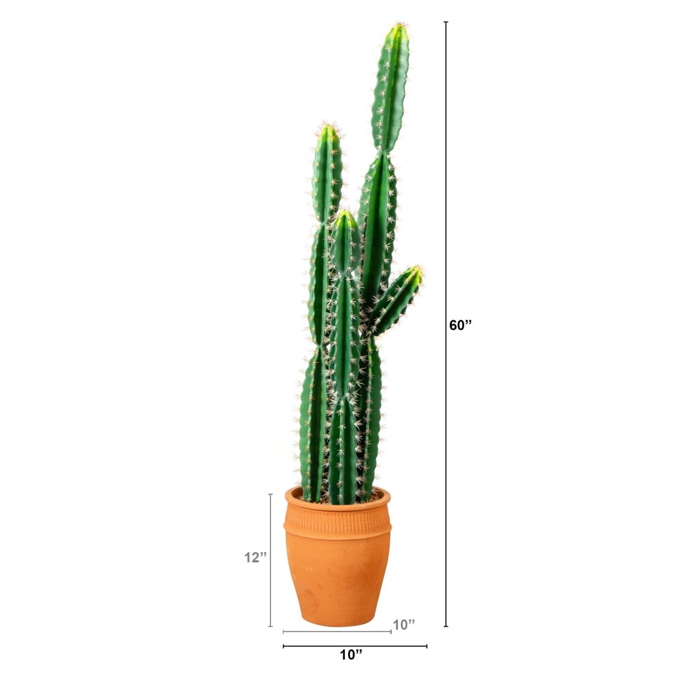 5' Artificial Cactus in Terracotta Planter