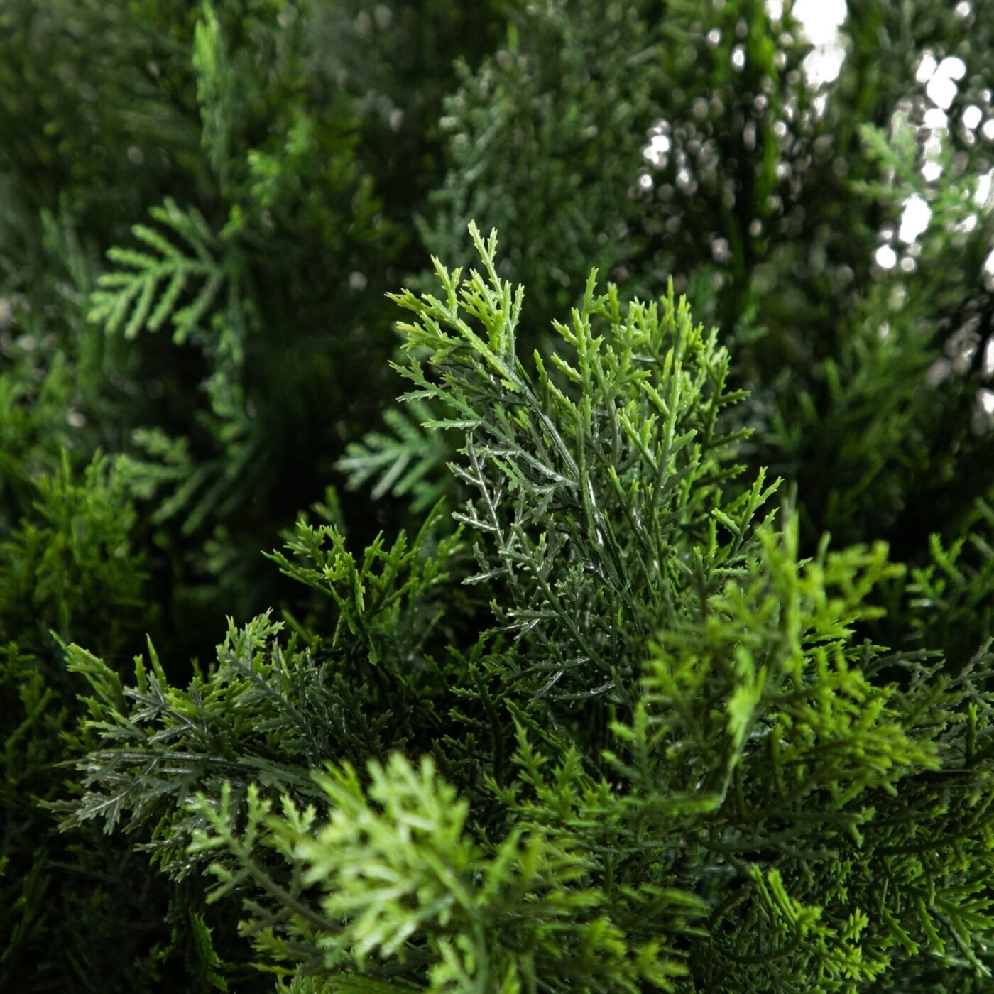 5' Artificial Cedar Bush UV Resistant (Indoor/Outdoor)