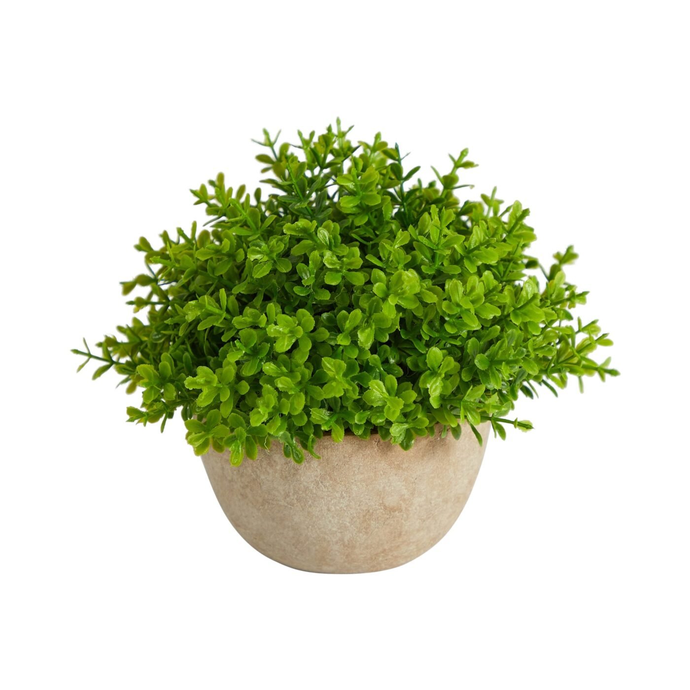 5" Boxwood Artificial Plant in Decorative Planter
