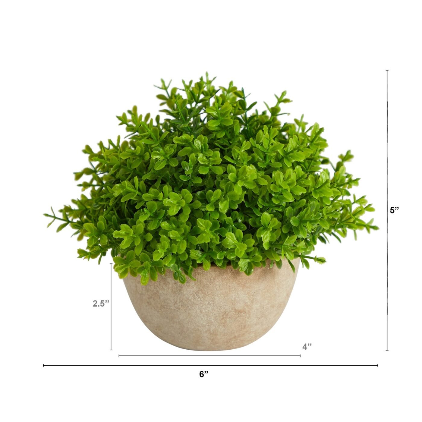 5" Boxwood Artificial Plant in Decorative Planter