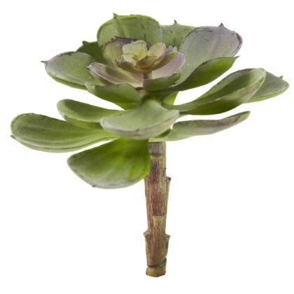 6" Artificial Echeveria Succulent (Set of 12)