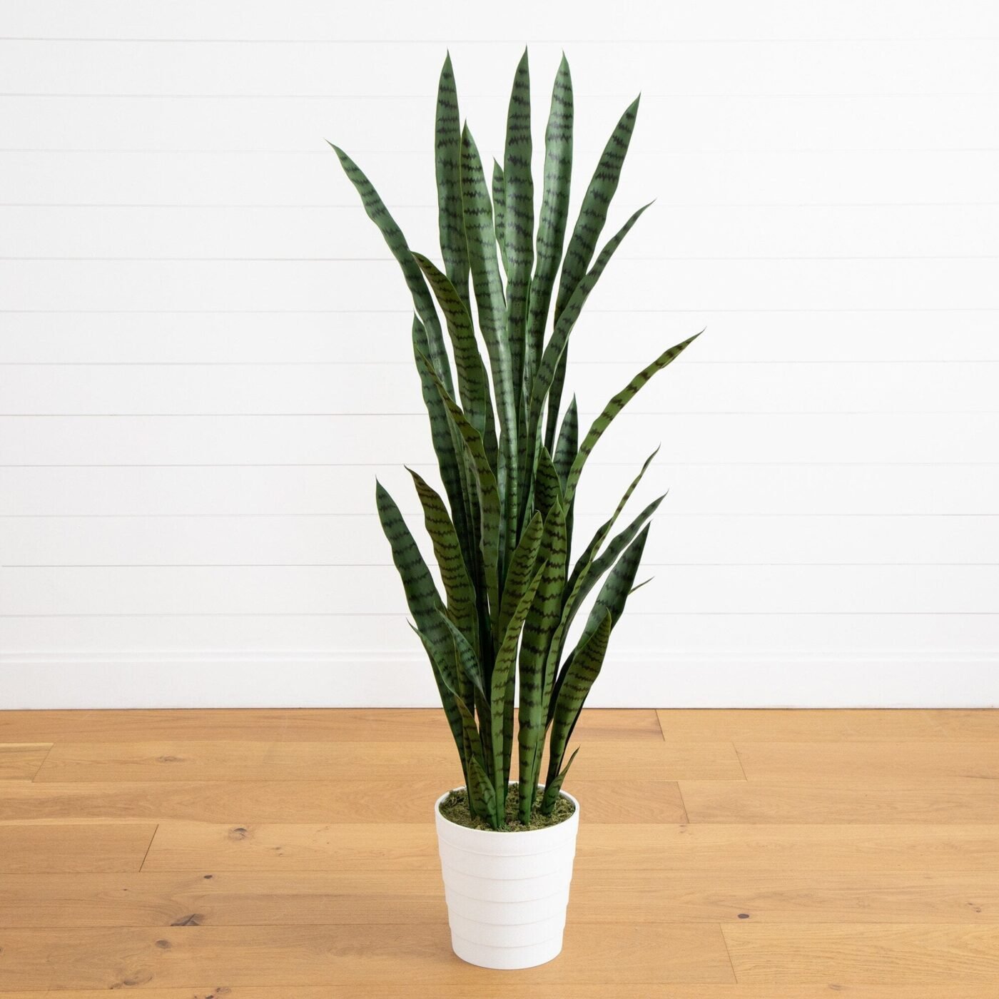 5' UV Resistant Artificial Sansevieria Plant in White Decorative Planter (Indoor/Outdoor)