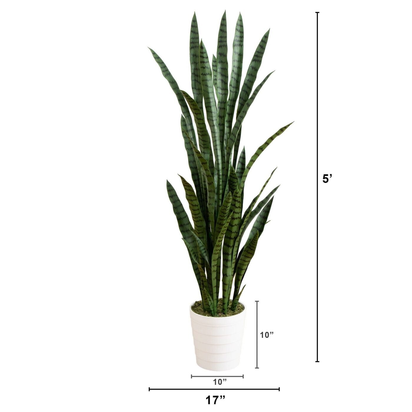 5' UV Resistant Artificial Sansevieria Plant in White Decorative Planter (Indoor/Outdoor)
