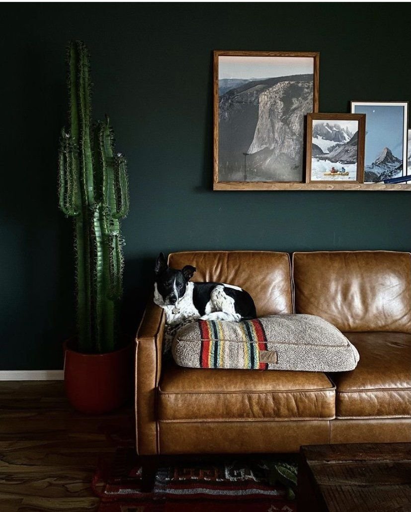 6.5' Cactus Artificial Plant