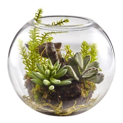 6.5" Mix Succulent Garden w/Glass Vase