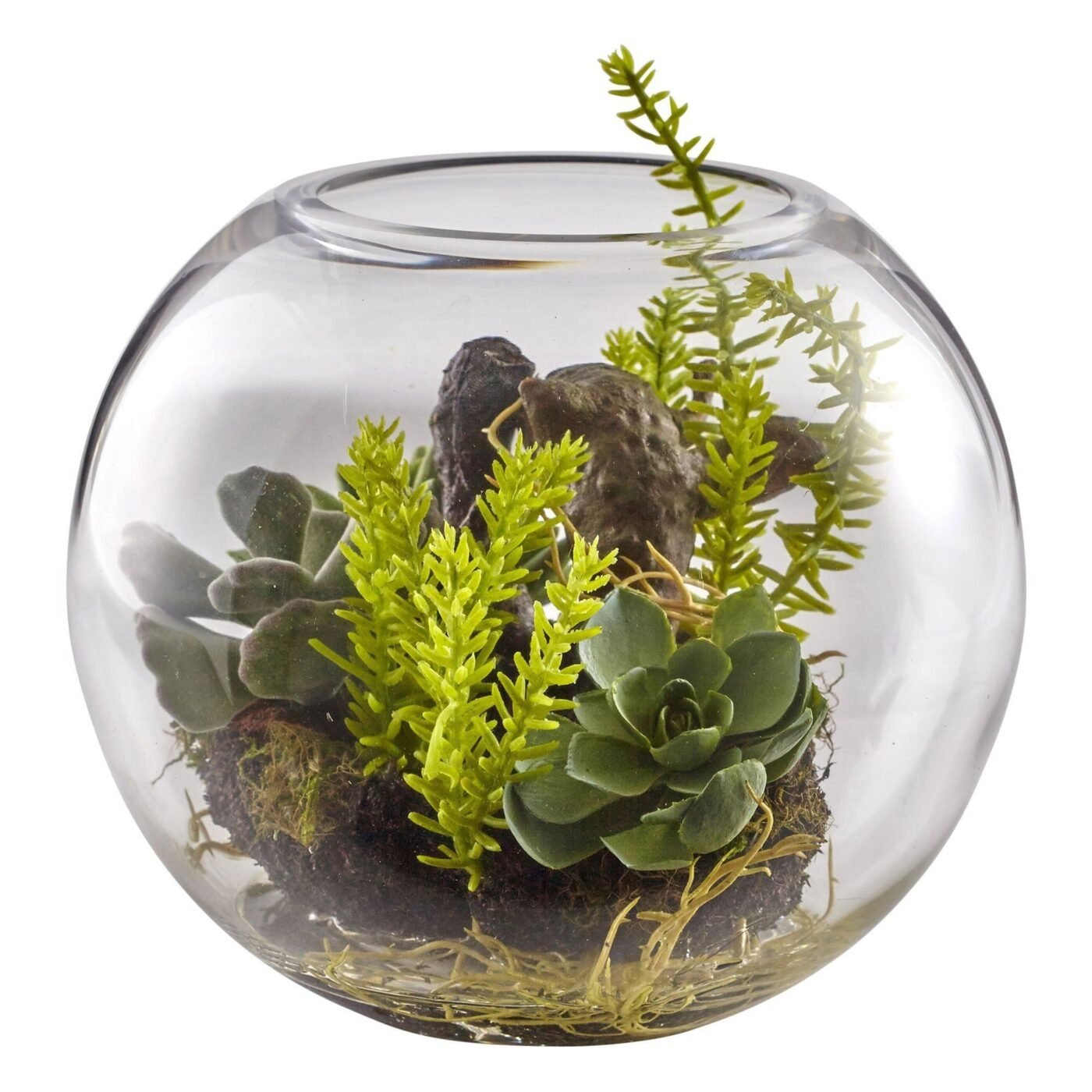 6.5" Mix Succulent Garden w/Glass Vase
