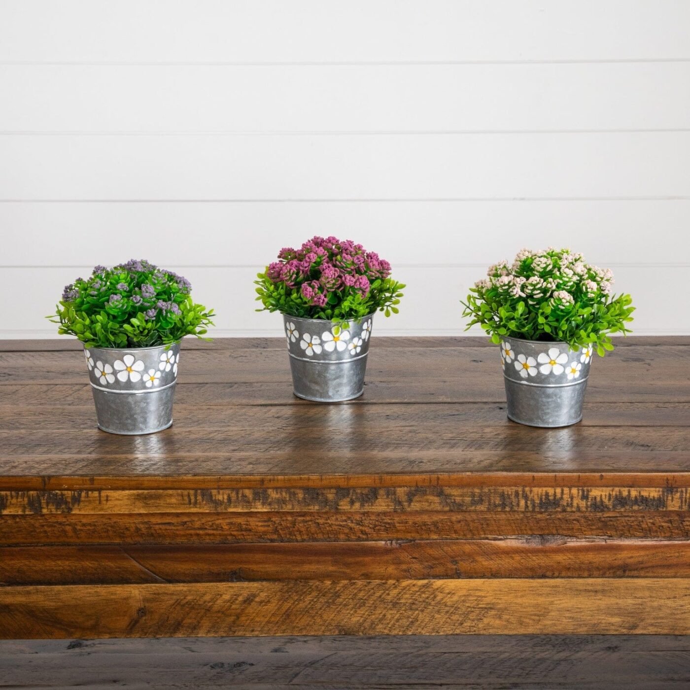 6" Artificial Succulent flowering Plant in Decorative Daisy Tin Planter -Set of 3