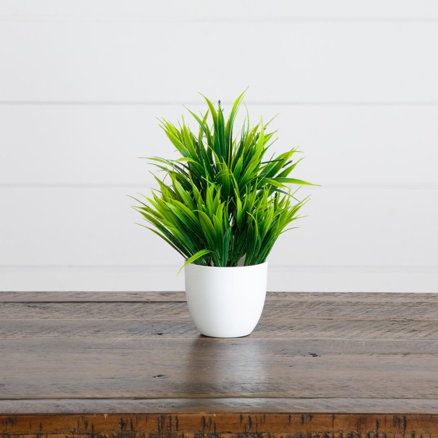 7" Artificial Mixed Evergreen Plant in White Round Pot - Set of 3