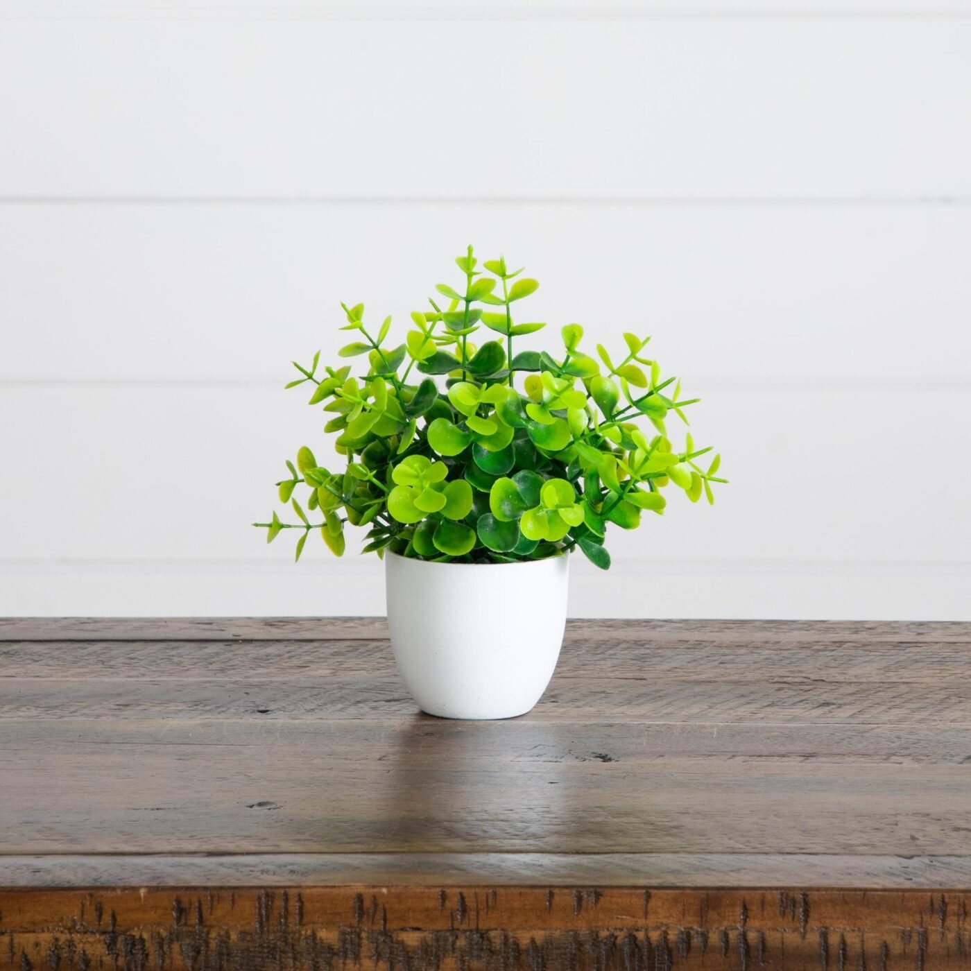 7" Artificial Mixed Evergreen Plant in White Round Pot - Set of 3