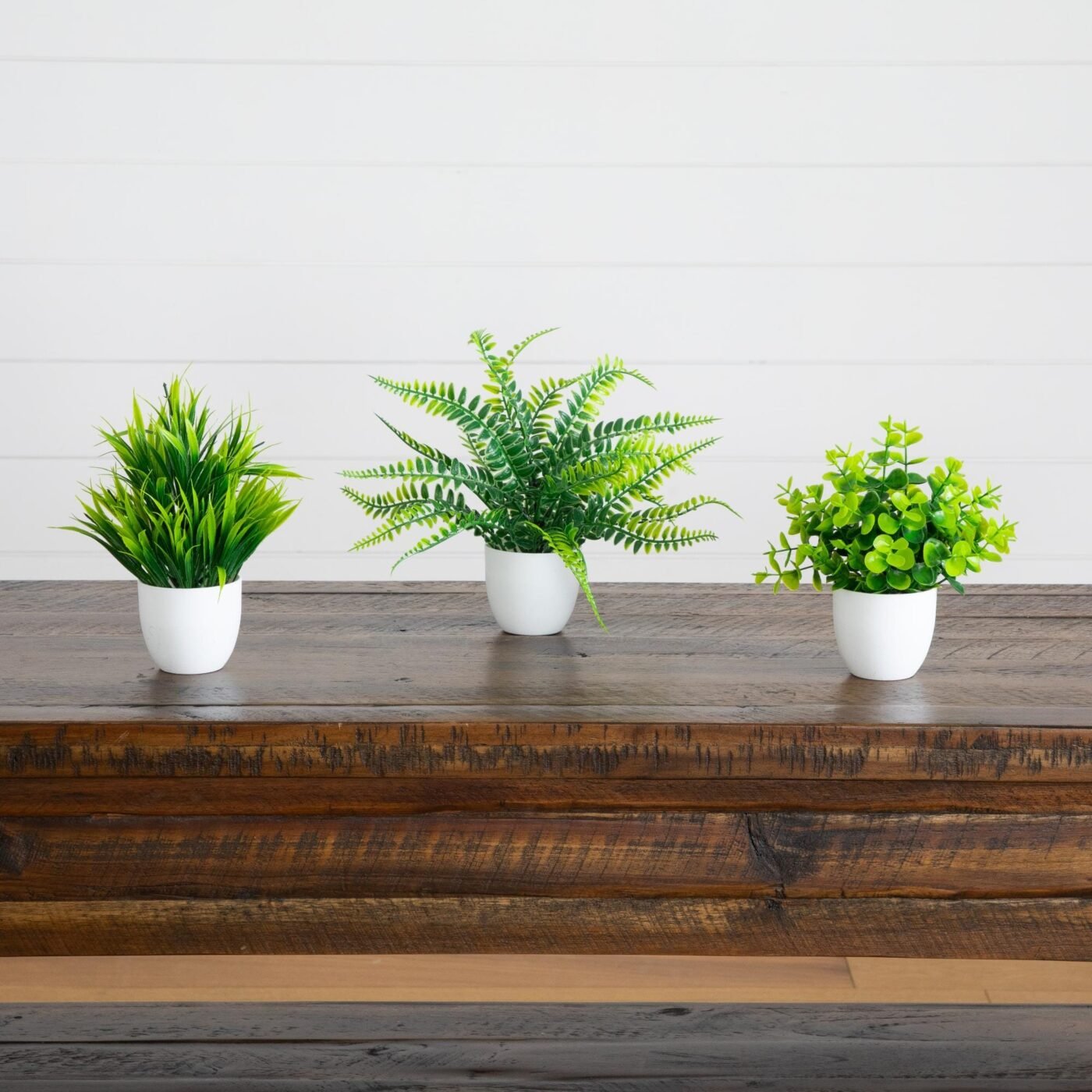 7" Artificial Mixed Evergreen Plant in White Round Pot - Set of 3
