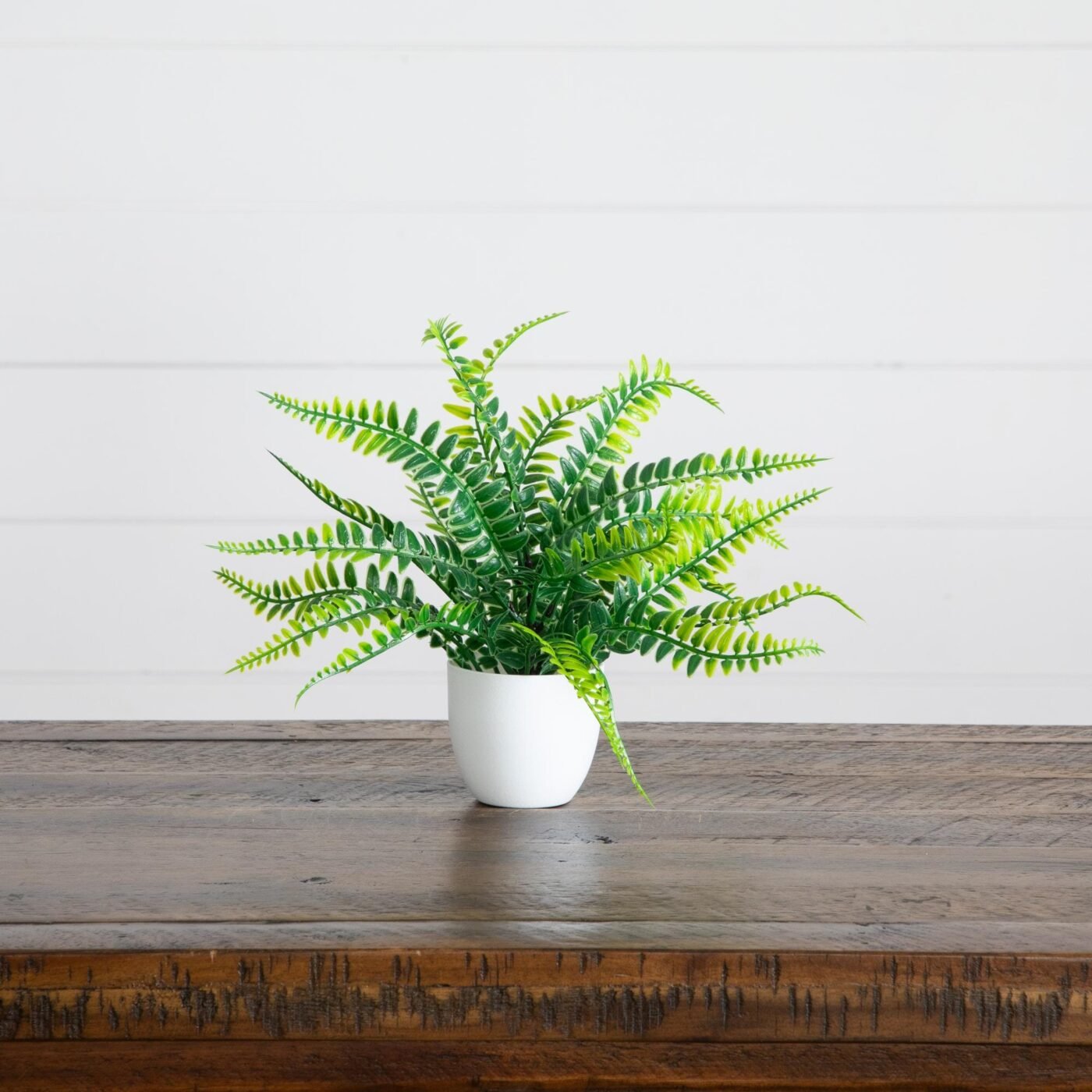 7" Artificial Mixed Evergreen Plant in White Round Pot - Set of 3