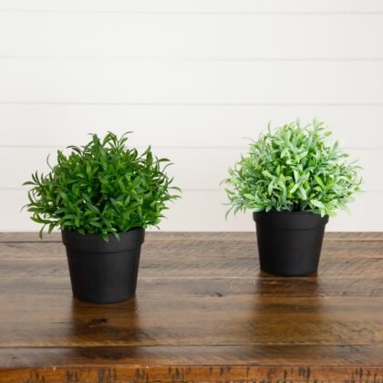 6" Artificial Grass Plant in Black Pot - Set of 2