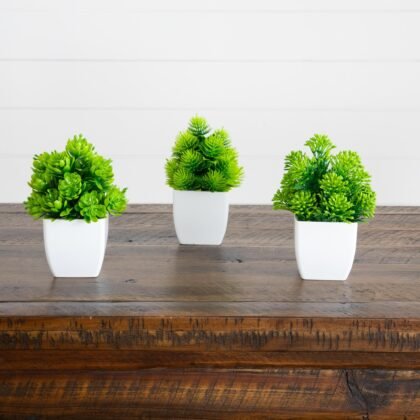 6" Artificial Mixed Succulent in White Square Pot - Set of 3