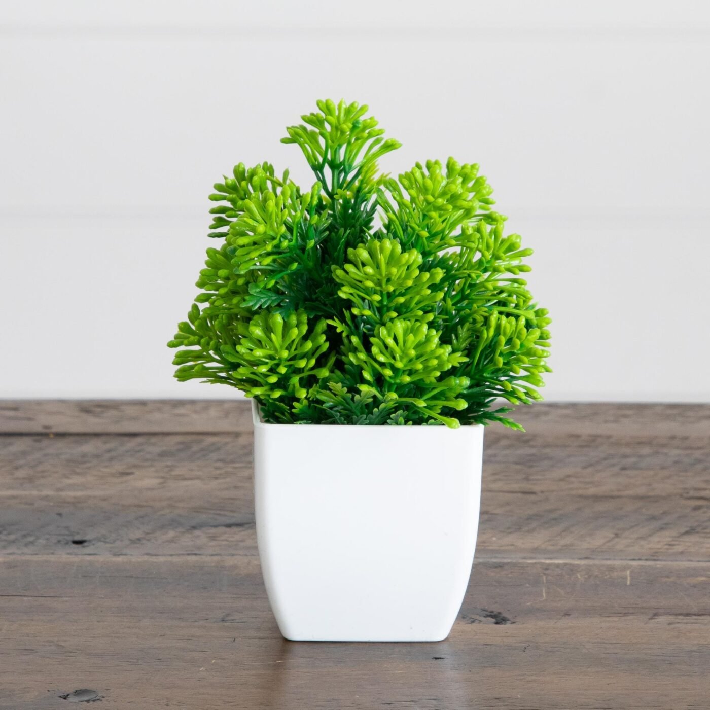 6" Artificial Mixed Succulent in White Square Pot - Set of 3