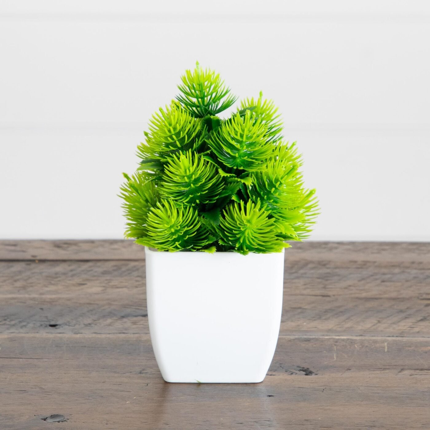 6" Artificial Mixed Succulent in White Square Pot - Set of 3