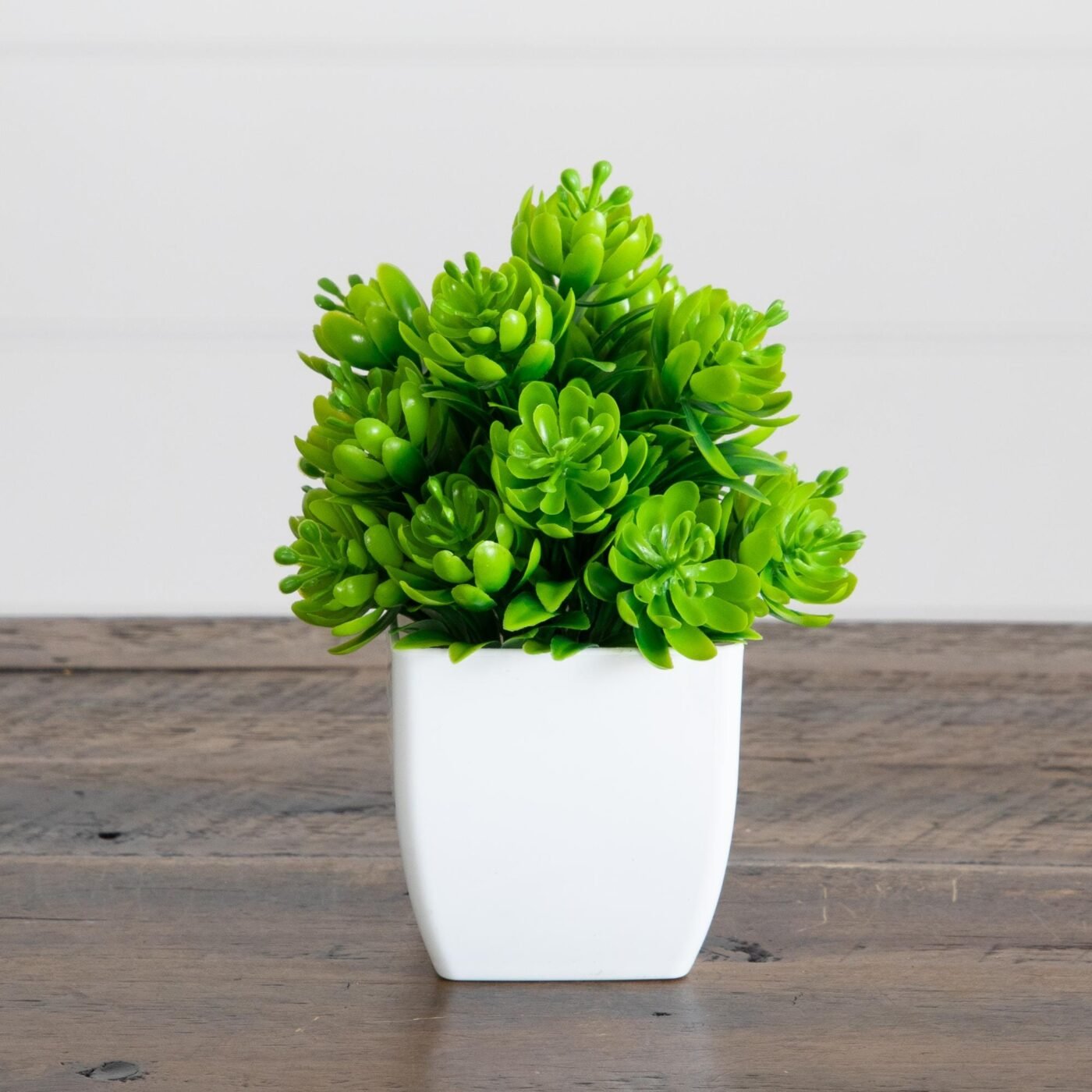 6" Artificial Mixed Succulent in White Square Pot - Set of 3