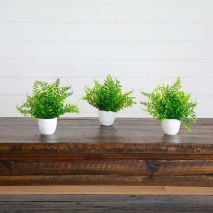 7" Artificial Fern in White Round Pot - Set of 3