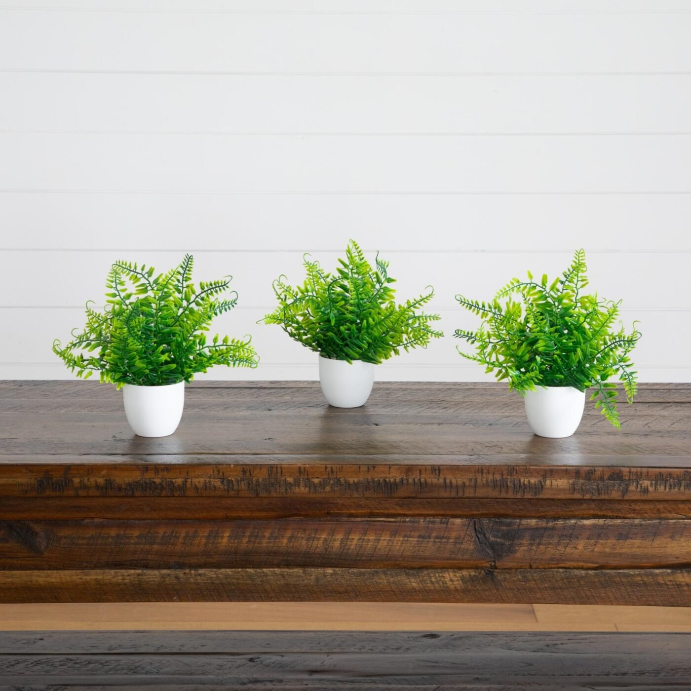 7" Artificial Fern in White Round Pot - Set of 3