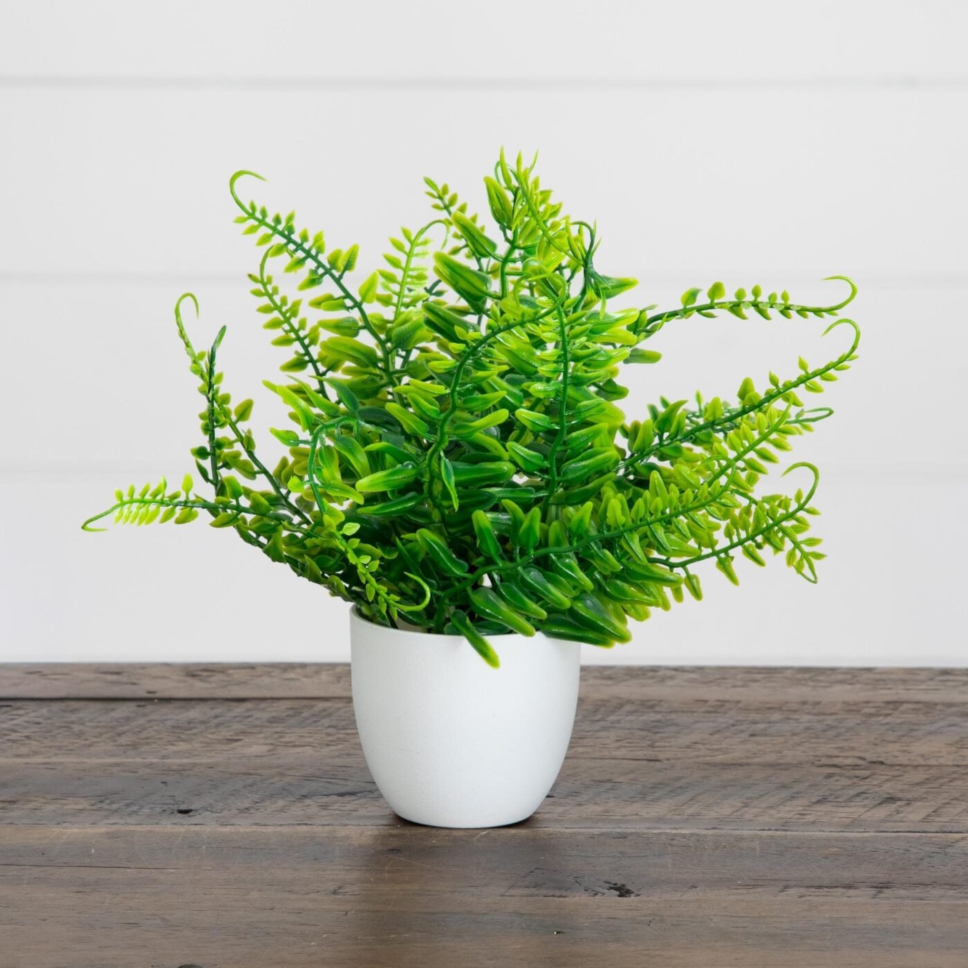 7" Artificial Fern in White Round Pot - Set of 3