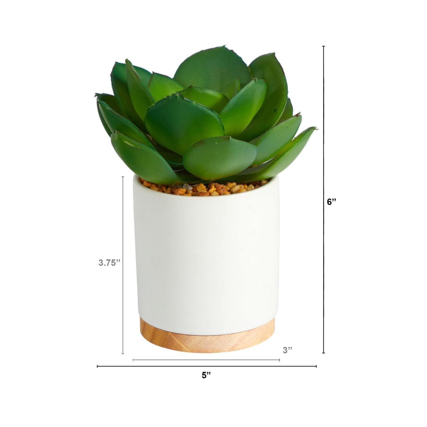 6" Succulent Artificial Plant in White Ceramic Planter