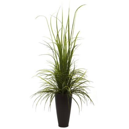 64" River Grass w/Planter (Indoor/Outdoor)
