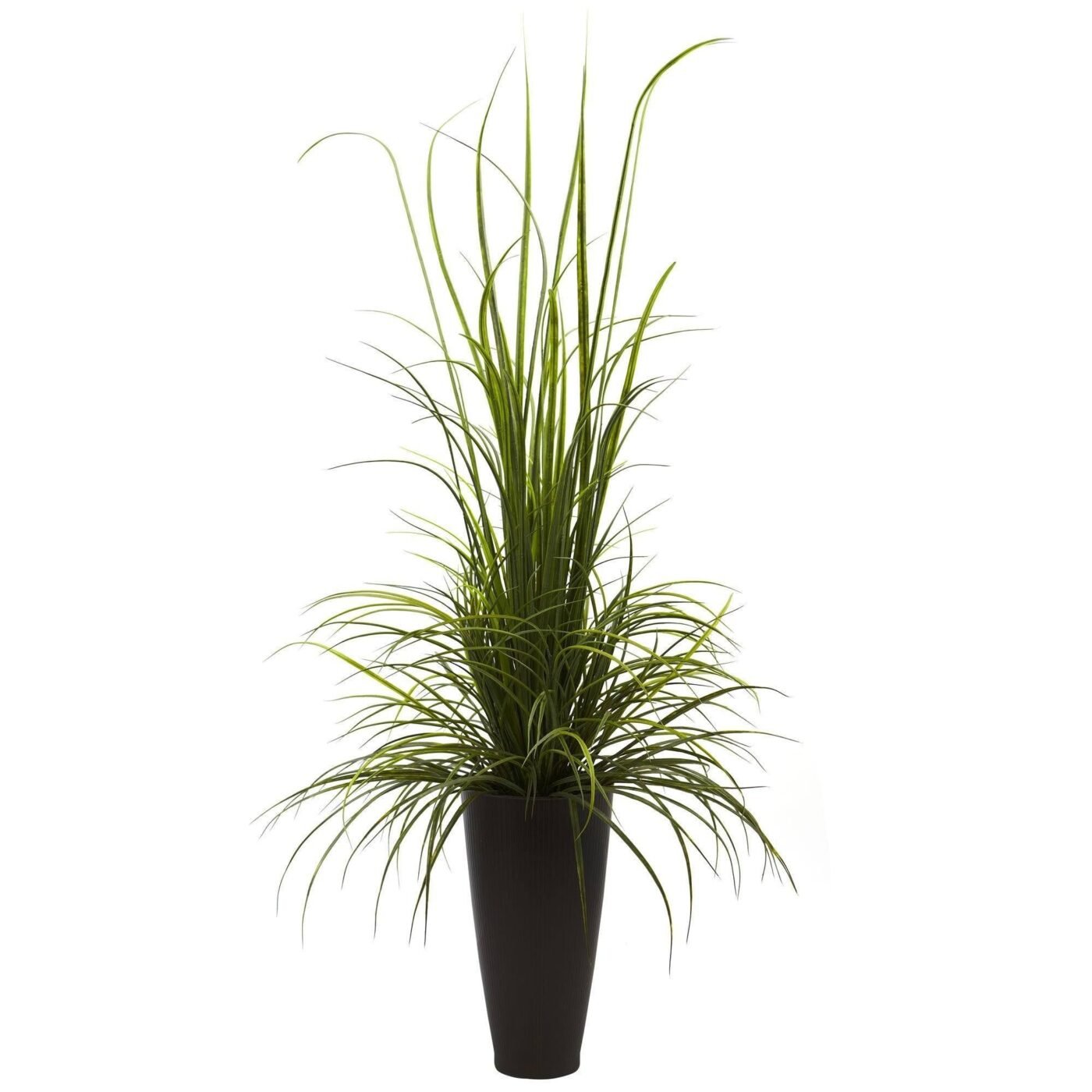 64" River Grass w/Planter (Indoor/Outdoor)