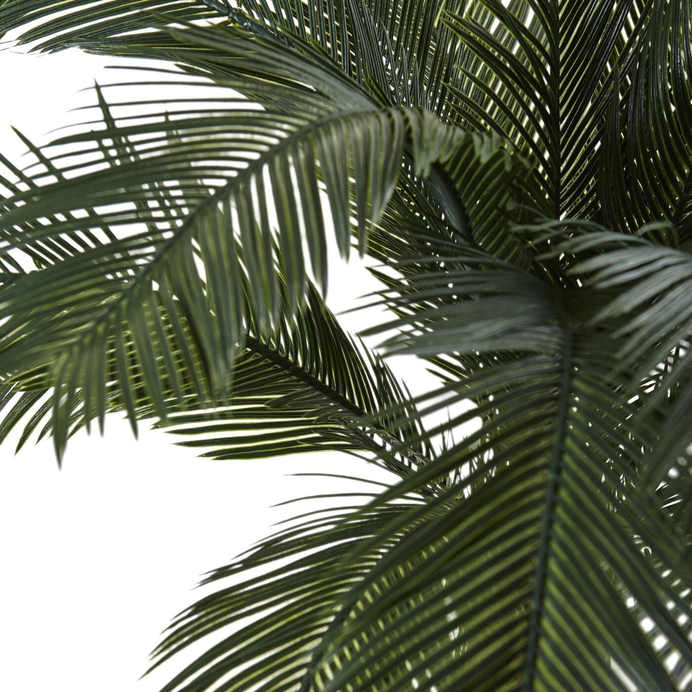 65" Cycas Artificial Plant in Urn UV Resistant (Indoor/Outdoor)