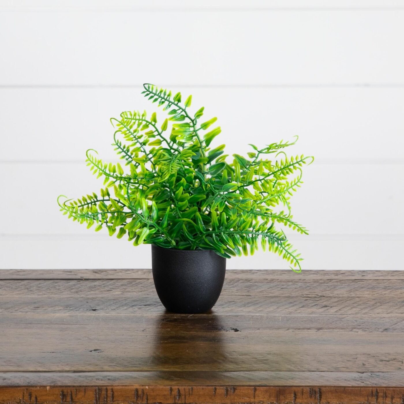 7" Artificial Mixed Botanical Plant in Black Square Pot - Set of 4