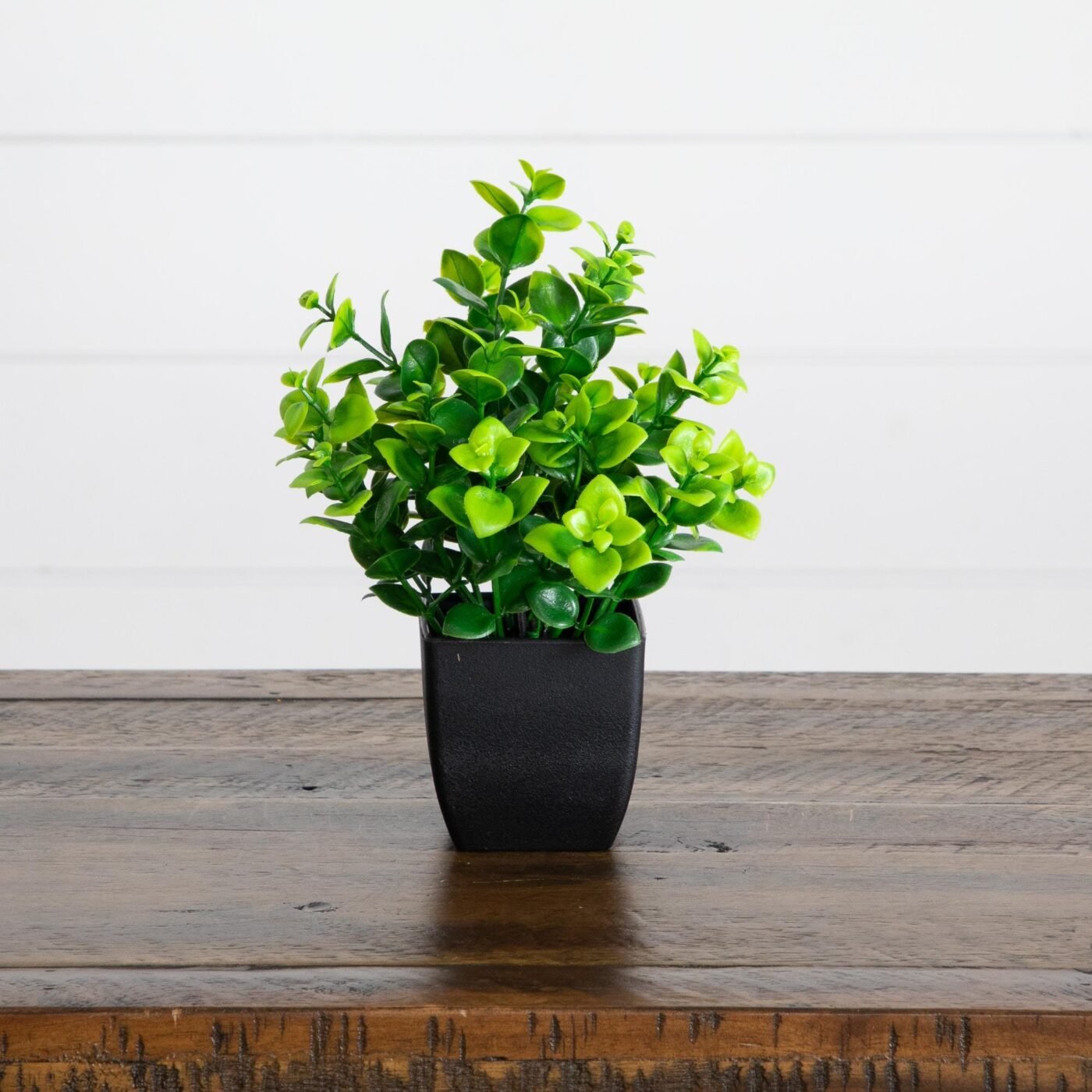 7" Artificial Assorted Green Plant in Black Square Pot - Set of 4