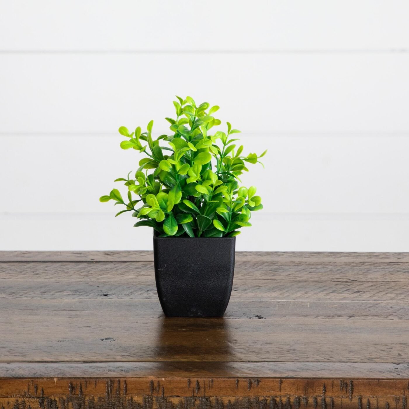 7" Artificial Assorted Green Plant in Black Square Pot - Set of 4