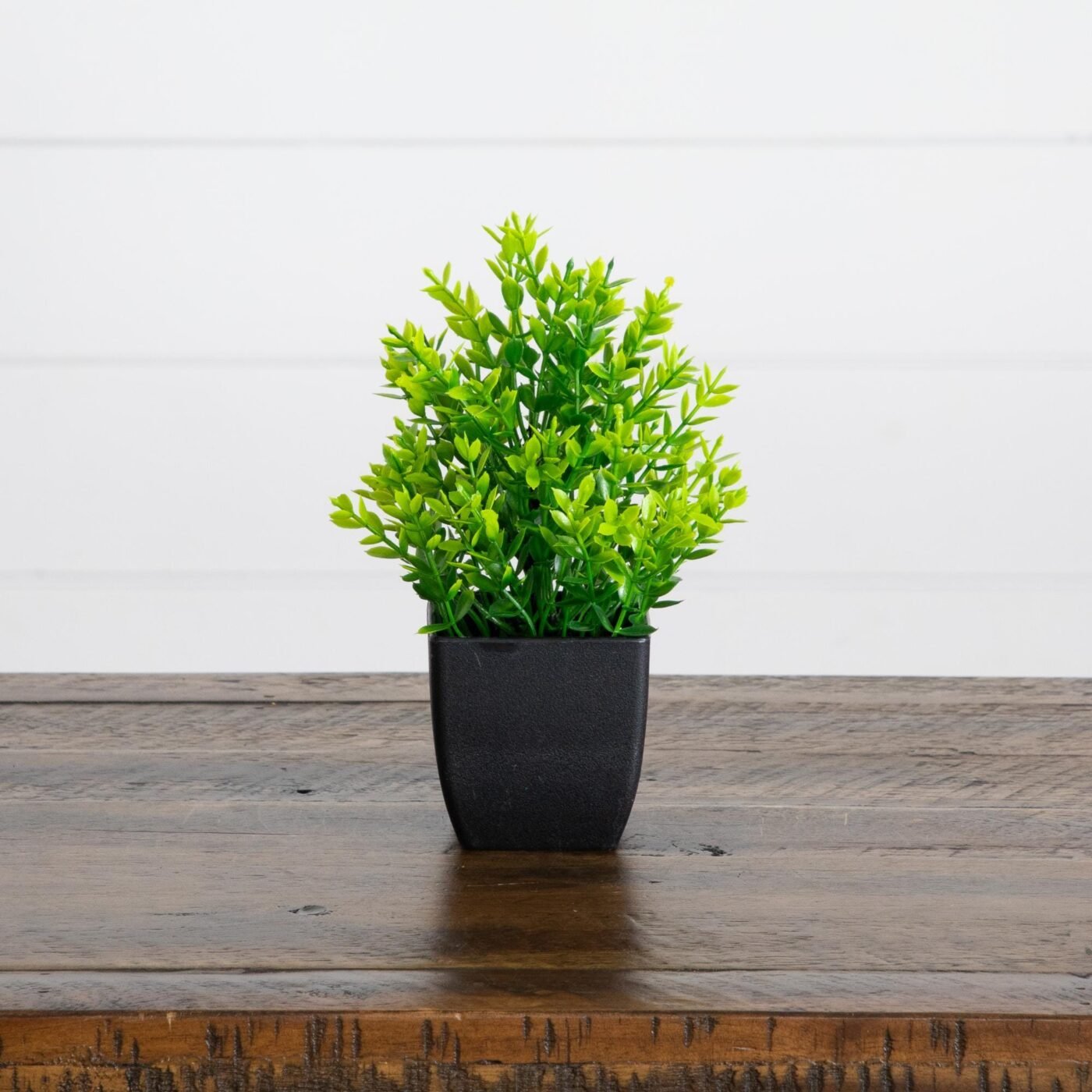 7" Artificial Assorted Green Plant in Black Square Pot - Set of 4