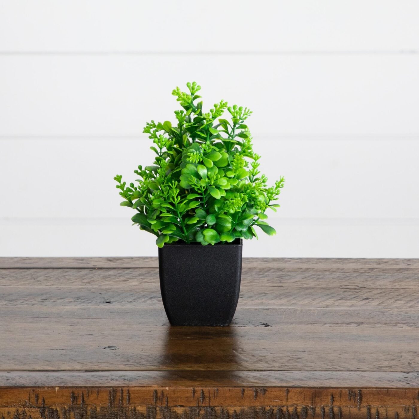 7" Artificial Assorted Green Plant in Black Square Pot - Set of 4
