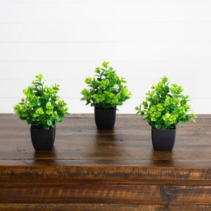 8" Artificial Evergreen Boxwood Plant in Black Square Pot - Set of 3